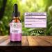 Amazing Botanicals Echinacea Purpurea Extract Tincture - 3,000mg Herbal Liquid Supplement Extract for Immune System Support - High Strength Formula with Natural Antioxidant for Overall Wellbeing - Buy Online on GoSupps.com