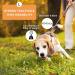 PETTOM Dog Leash Chain - Bite-Resistant Training Leash for Large & Small Dogs (Under 50kg) - Durable Black Quality - Buy Online on GoSupps.com