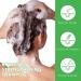Biotin Rosemary Shampoo for Thinning Hair - Strengthening Rosemary Mint Formula 10.56 oz / 300 ml - Effective Hair Loss Care - Buy Online on GoSupps.com