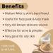 Havintha Natural Multani Mitti Powder - Earth Natural Fuller (227g) | Pure Beauty & Skincare Essential - Buy Online on GoSupps.com