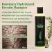 Rosemary Shampoo with Hydrolyzed Keratin for Hair Growth and Thickening - 100ml - Natural Shampoo for Men & Women - Moisturizing and Fortifying Formula (3) - Buy Online on GoSupps.com