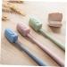Beaupretty 36pcs Toothbrush Caps - Protector & Cover for Travel & Home | Durable Hygienic Toothbrush Accessories - Buy Online on GoSupps.com