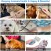 Ceenwes Pet Clippers Low Noise Professional Dog Clippers Rechargeable Cordless Pet Clipper Trimmers Pet Hair Grooming Kit for Dogs Other HairyAnimals Single Grooming - Buy Online on GoSupps.com