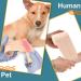 4 Rolls Self Adhesive Elastic Bandage Wrap for Sports Injuries - 5 Yard (3 Inch Width) - Ideal for Ankle, Knee, Wrist Sprains - Flexible & Stretchy Tape for Pets - Buy Online on GoSupps.com