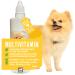 Vitamins for Dogs 100 ML Multivitamins and Minerals B Vitamins with Vitamin A B12 DE Folic Acid Iron Zinc Selenium L-lysine and Calcium Strengthens Vitality The Immune System Skin Coat
