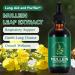 Mullein Leaf Liquid Drops Mullein Drops Mullein Leaf Extract Drops Mullein Herbal Supplements Drops for Fast Absorption 2.02fl Oz - Buy Online on GoSupps.com