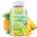 Organic Spirulina Chlorella Gummies Super Greens Blend with Protein Chlorophyll Vitamin C D3 B12 Zinc Supports Daily Energy Immune System & Antioxidant Intake Pineapple Flavor 60 Count 60 Count (Pack of 1)
