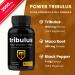 NutraChamps L-Arginine Capsules and Tribulus Capsules 2 Pack Bundle - Buy Online on GoSupps.com