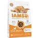 IAMS Dry Cat Food with Chicken for Ages 1-6 Years - 1.5 kg Pack | High-Quality Nutrition for Your Cat - Buy Online on GoSupps.com