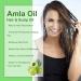Amla Hair Oil Indian Amla Oil for Hair Amla Oil for Hair Growth Scalp Oil Nourishes Scalp Indian Hair Oil for Skin and Face Amla Essential Oil Hair Growth Oil for Women for Long Soft Strong Hair 60ml - Buy Online on GoSupps.com