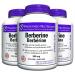 Preferred Nutrition Berberine Supplement | Maintain Healthy Glucose Metabolism & Cardiovascular Health | 500 mg (3)