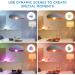 WiZ Connected Color High Lumen 100W A21 Smart WiFi Light Bulb  16 Million Colors  Compatible with Alexa and Google Home Assistant  No Hub Required  1 Bulb A21 Color 1 Count (Pack of 1) - Buy Online on GoSupps.com