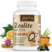 2300 MG Zeolite Detox Capsules Organic Activated Charcoal Bentonite Clay 1-2 m Clinoptilolite Maximum Absorption Gut Liver Detox Cleanse Full Body for Women Men 90 Capsules 1 Count (Pack of 1)