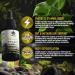 Shilajit Resin Stronglife Himalayan Liquid Oil Drops 30 Gram Equivalent | Natural Source of Fulvic Acid & Mineral Oral Drops | UK Lab Certified | 30ml - Buy Online on GoSupps.com