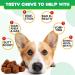 Probiotics for Dogs Pre & Probiotic Digestive Treats for Dogs Support Gut Health Digestive and Immunity Boost Heatlth & Energy for All Ages and Breeds 60 Chews Duck Flavor - Buy Online on GoSupps.com