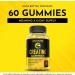 Creatine Monohydrate Gummies - 5g Strength & Performance Chews for Muscle Growth & Recovery - 60 Count - Buy Online on GoSupps.com
