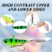 Jig Spinner Set - 5 PC 20g Fishing Baits in KaDerbox for Perch Pike Zander | UV-Active Spinnerbaits & Jigs - Buy Online on GoSupps.com