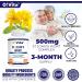 VITA St. John's Wort 500mg Mood Enhancer & Brain Health Support - 100 Non-GMO Capsules - Buy Online on GoSupps.com