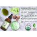SVA Organics 100% Pure Tamanu Oil 4 Oz - USDA Certified Organic - Premium Therapeutic Grade for Face, Hair, and Body Massage - Buy Online on GoSupps.com