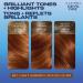 Clairol Nice'n Easy Permanent Hair Dye 6R Light Auburn Hair Color 1 Count - Buy Online on GoSupps.com