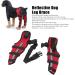 Knee Brace for Dogs ACL with Reflective Strips Knee Dislocation Arthritis Keeps The Joint Warm and Stable Extra Support Reduces Pain and Inflammation (L) - Buy Online on GoSupps.com