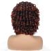 Buy Porsmeer Afro Wig for Women | Large Curly Synthetic Hair Wig | Short Black & Copper-Red Bob for Halloween Cosplay Costume - Buy Online on GoSupps.com