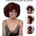 Bonnet Queen Men's Hat - Stylish Chocolate Color | International Shipping Available - Buy Online on GoSupps.com