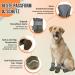 Eyin Dog Shoes - Breathable Non-Slip Paw Protection for All Dog Sizes | Reflective Velcro Fasteners | Ideal for Outdoor Sports - Size 8 (Brown) - Buy Online on GoSupps.com