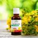 Doctor Maple St. John's Wort & Vitamin C Tincture Drops 50ml (Pack of 2) | Pure St. John's Wort Tincture Enriched with Vitamin C | Alcohol Free - Buy Online on GoSupps.com