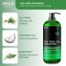 Buy Tea Tree Oil Shampoo for Healthy Hair - Dandruff Oily Hair & Dry Scalp Treatment (16oz) - International Shipping Available - Buy Online on GoSupps.com
