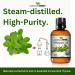 Mayan s Secret USDA Certified Organic Oregano Essential Oil (100% Pure & Natural - UNDILUTED) Huge 1oz Bottle - Perfect for Aromatherapy Relaxation Skin Therapy & More - Buy Online on GoSupps.com