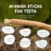 Miswak Sticks for Teeth - Natural Toothbrush No Toothpaste Needed Siwak Chew Sticks (1 Pack - Buy Online on GoSupps.com