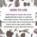 Deve Herbes Pure Pumpkin Seed Oil - Cold Pressed 30ml | Natural Therapeutic Grade Oil for Skincare & Health - Buy Online on GoSupps.com
