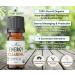 Energy Clearing Essential Oil Blend - Smoke-Free Sage Alternative - .33 oz - Buy Online on GoSupps.com