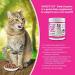 Vital Planet Digest Cat Digestive Enzyme Blend Powder for Cats - 75g (30 Scoops) - Buy Online on GoSupps.com