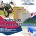 Covey Sports Baseball Softball Scorebook Side by Side Format (50 Games) + Lineup Cards (50-Pack) - Large Format Book with Line Up Card Sheets - Buy Online on GoSupps.com