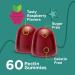 Sugar-Free Kids Probiotics Gummies - 2 Billion CFU for Immune & Digestive Health - Vegan, Non-GMO, Gluten-Free, Kosher - Raspberry Flavored 60 Servings - Buy Online on GoSupps.com