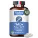 NAD+ 100% Pur - 300 mg Nicotinamide Riboside Chloride (NR) par G lule Cure de 4 Mois - NAD Booster - Anti-Aging et Fatigue - 120 G lules V ganes - Formule Premium Sans Gluten Sans OGM