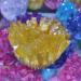 AtkitS Natural Crystal Cluster Electroplated Yellow Crystal Cluster Reiki Healing Stone Crystal Tip House Decorative Speci - Buy Online on GoSupps.com