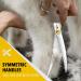 Dream REACH 8 Ergonomic Dog Fur Scissors - 440C Stainless Steel & Adjustable Screw - Professional Pet Grooming Tool for Dogs & Cats - Buy Online on GoSupps.com