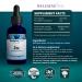 WellnessOne Ionic Zinc Liquid - Immune Support & Skin Care Supplement 100 Day Supply - 15mg Zinc Sulfate - Easy to Swallow Drops for Kids & Adults - Buy Online on GoSupps.com