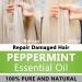 Peppermint Essential Oil 100% Pure & Natural Organic (3.3 Fl. Oz) for Humidifiers Skin Care Massage Aromatherapy Premium Delicate Grade with Glass Dropper for Air Freshening Cleaning Home Peppermint 3.3 Fl Oz (Pack of  - Buy Online on GoSupps.com