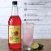 Sweetbird Pink Guava & Lime Lemonade Syrup - 1L Bottle (Vegan Friendly) - Buy Online on GoSupps.com