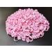 300PCS Disposable Glue Rings for Eyelash Extensions - Volume Lashes Fan Pink - Buy Online on GoSupps.com