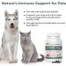 Turkey Tail Pet Support - Vet-Approved Dog Multivitamins for Immune & Gut Health (90ct) - Buy Online on GoSupps.com