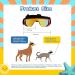 FranyyCo Small Dog Sunglasses | UV400 Certified | Adjustable Straps | High Density Foam Frame | Yellow+Black - Buy Online on GoSupps.com