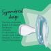 Tommee Tippee Night Time Glow in The Dark Pacifiers - BPA-Free Silicone Binkies (2-Pack, 6-18m) - Symmetrical Design - Colors May Vary - Buy Online on GoSupps.com