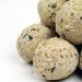 GardenersDream Suet Fat Balls | Premium Garden Wild Bird Food | Enhanced Year-Round Formula | Naturally Blended High in Energy & Protein-Rich Feed | Full of Nutritious Fat Fibre & Moisture (10 Pack) 10 count (Pack of 1) - Buy Online on GoSupps.com