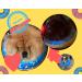 Inflatable Dog Collar - Comfortable & Safe Alternative for Medium Dogs | Blue Leak Protection & Relaxation - Buy Online on GoSupps.com