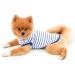 PAIDEFUL British Striped Dog Shirt for Small Medium Dogs Cats - Breathable Soft Cotton Vest Tee for Puppy Chihuahua Yorkie - Blue XS - Buy Online on GoSupps.com